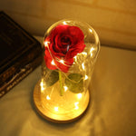 Enchanted LED Lover's Rose - Smiley Giant